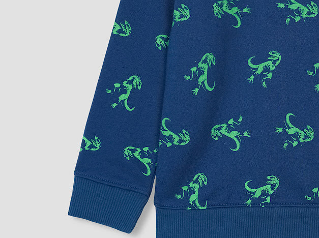 Dragon all over Printed Sweatshirt in fleece for Kids