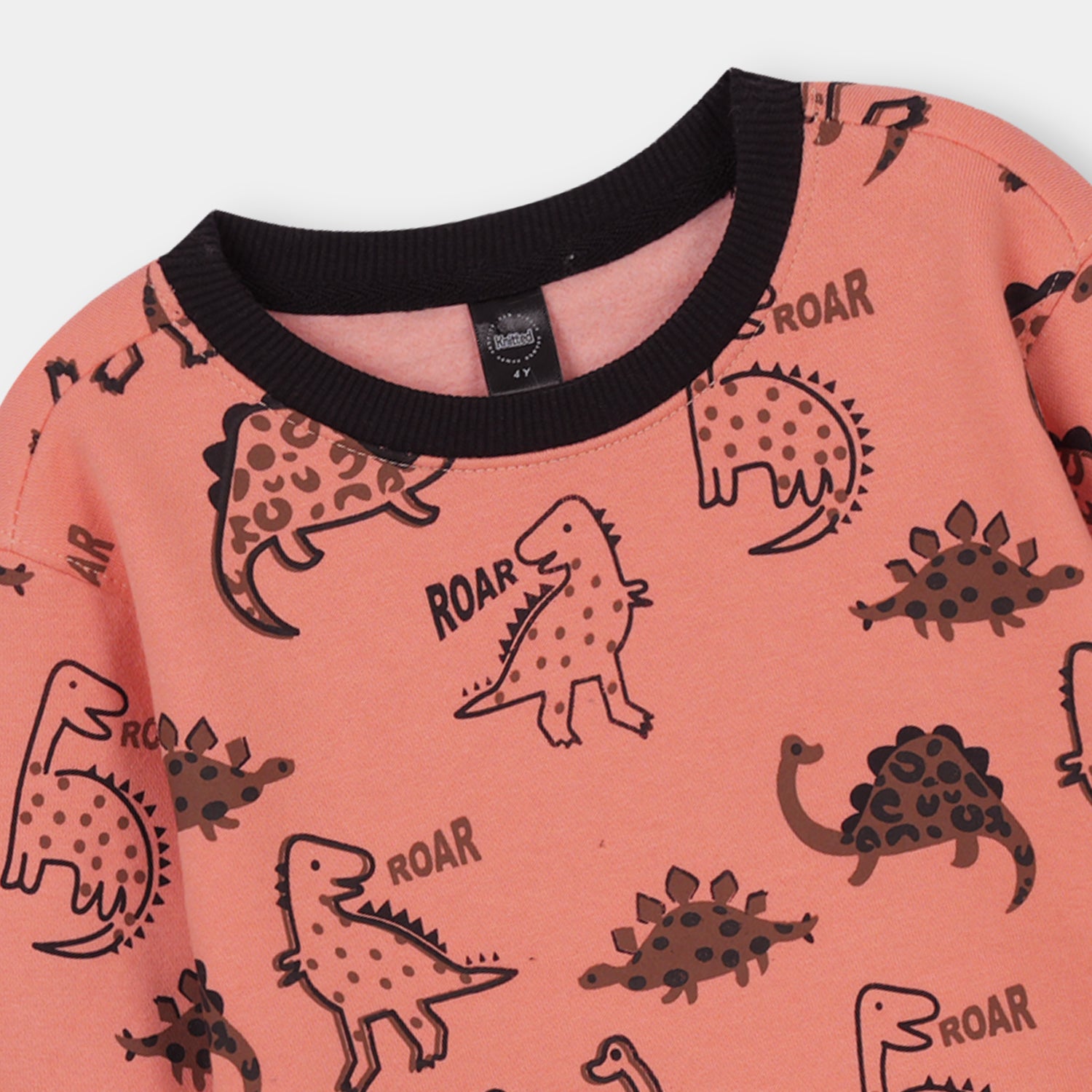 dino all over Printed Sweatshirt in fleece for Kids